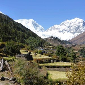 Langtang Trekking